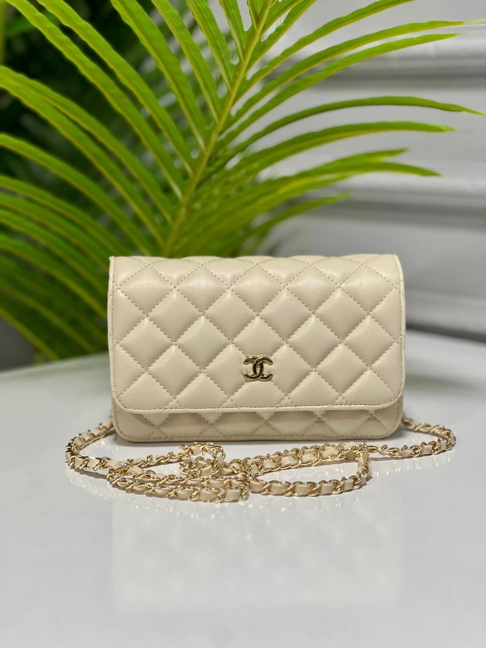 New purse