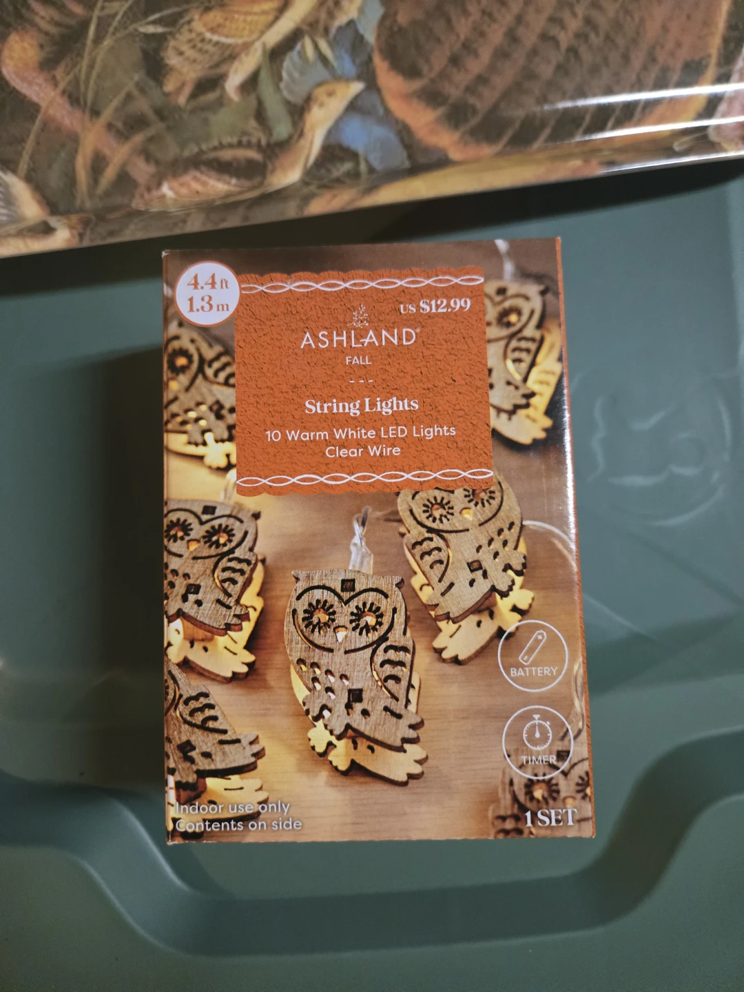 Ashland Melamine Tray/String light Owls - photo 4