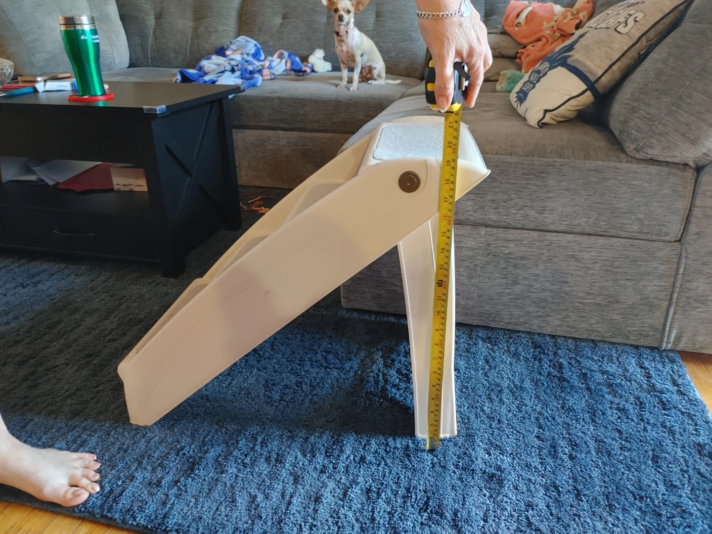 Top Paw 4-Step Foldable Plastic Steps - photo 5