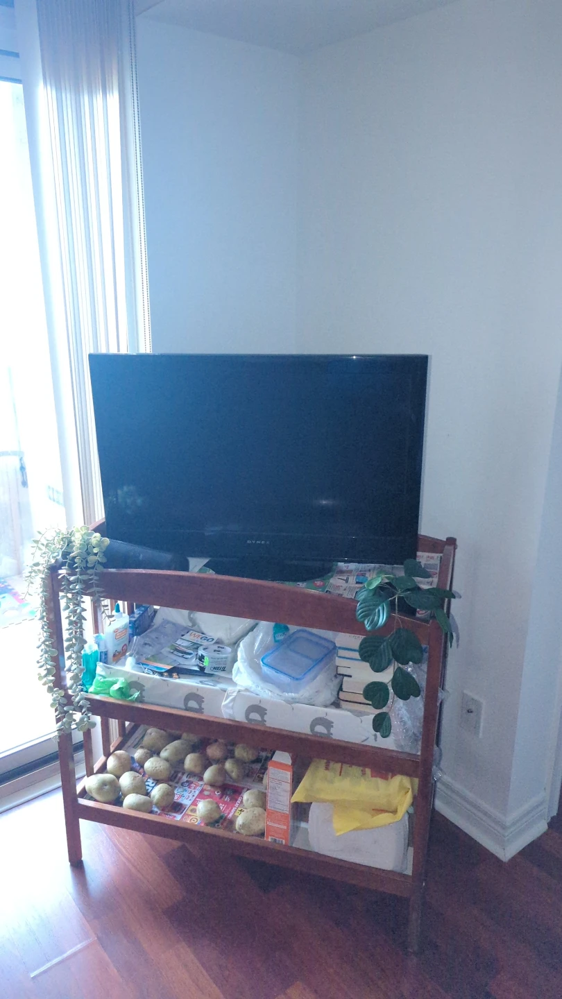 Dynex TV with Stand