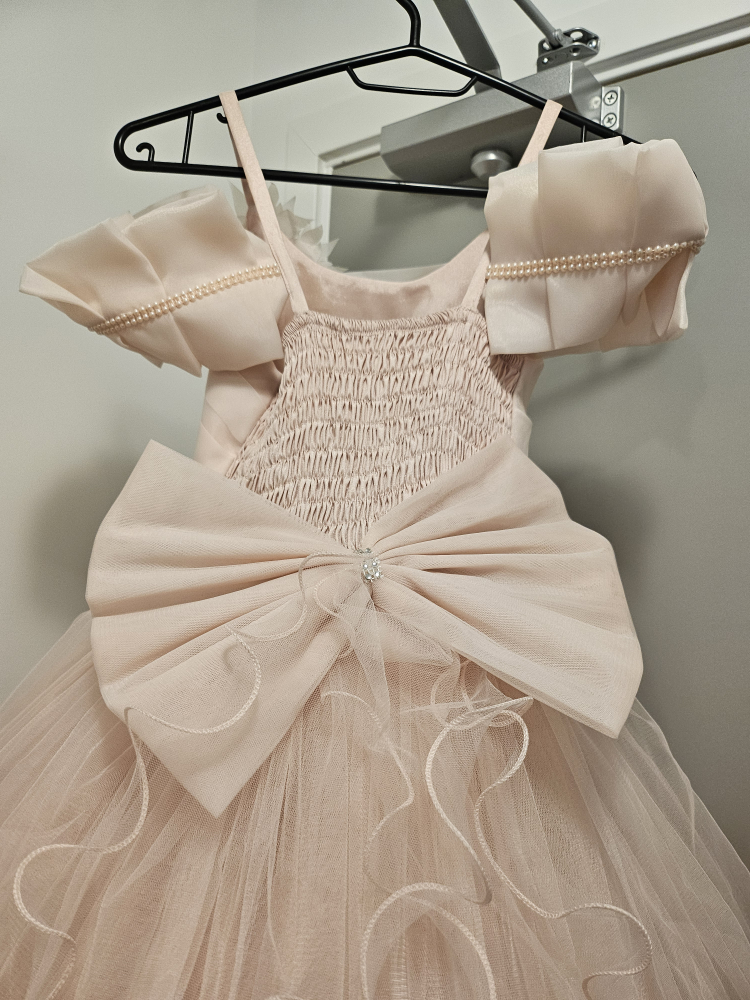 Girls Fancy Party Dress