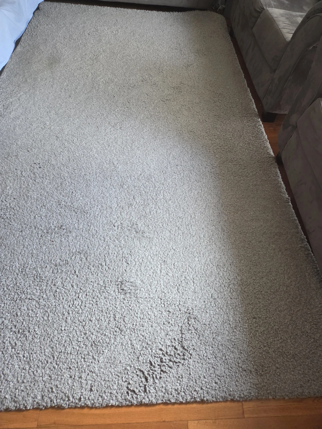 Light Grey Area Rug - photo 2