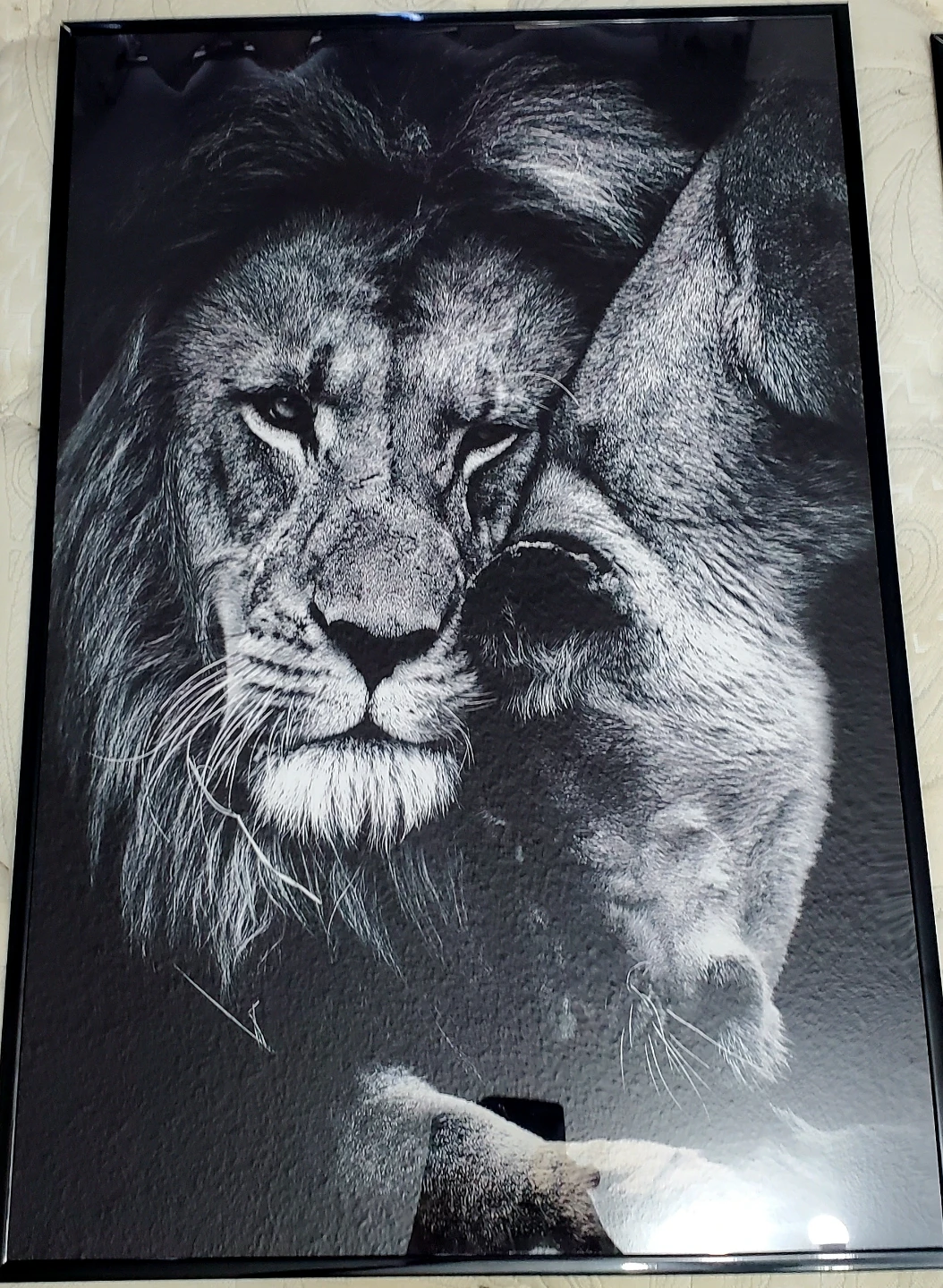 Set of 3 Framed Lion Canvas Prints - photo 3