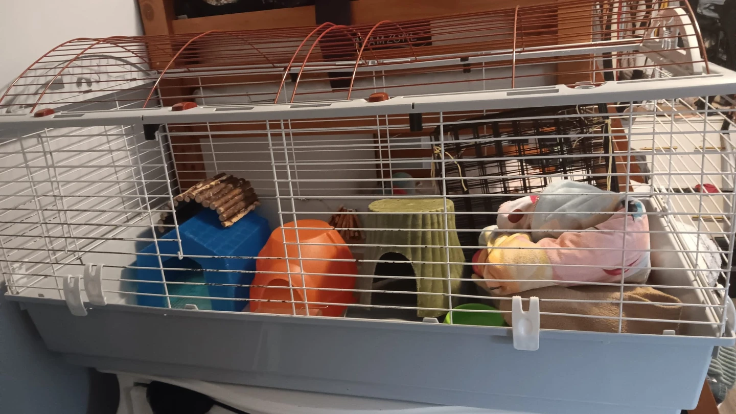 Large Animal Cage with Accessories