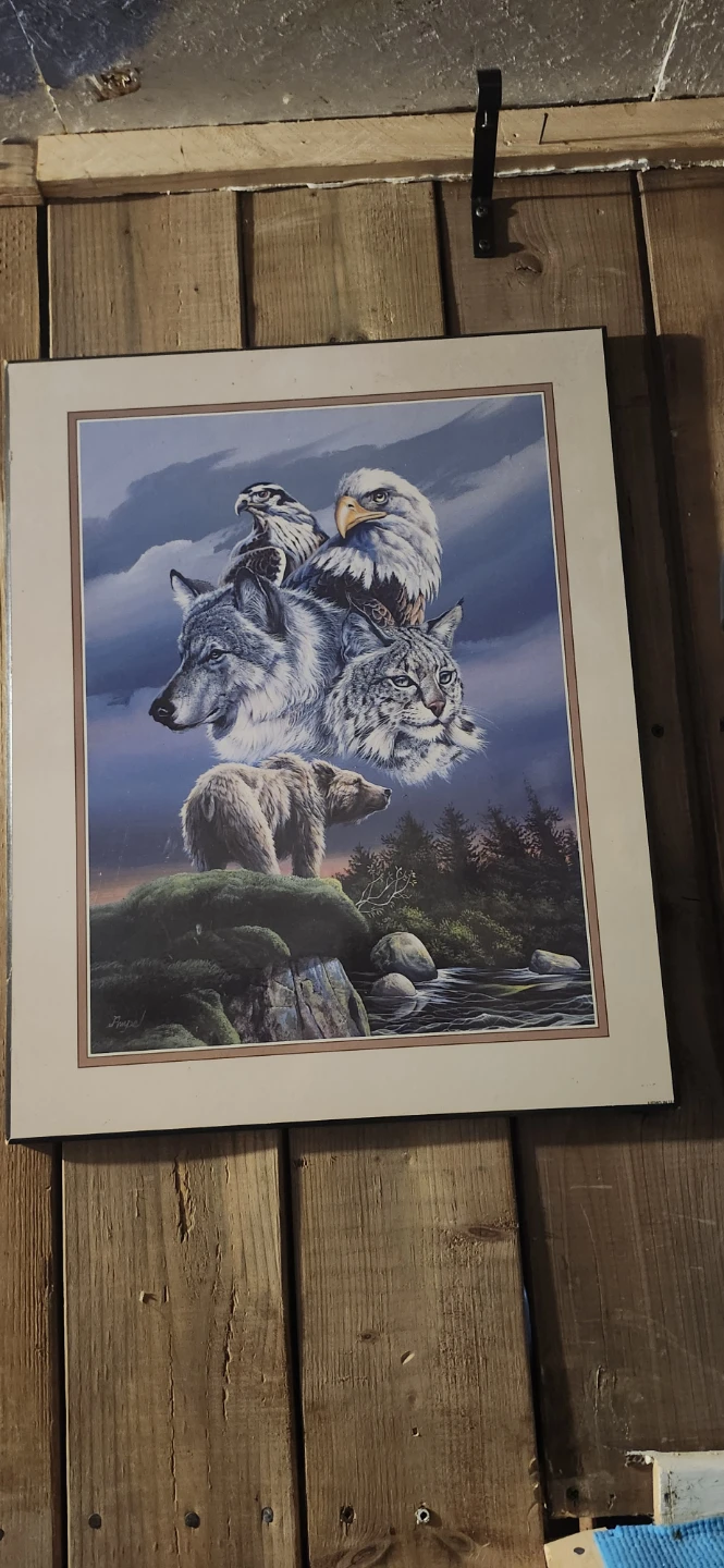 Framed Wildlife Art Print