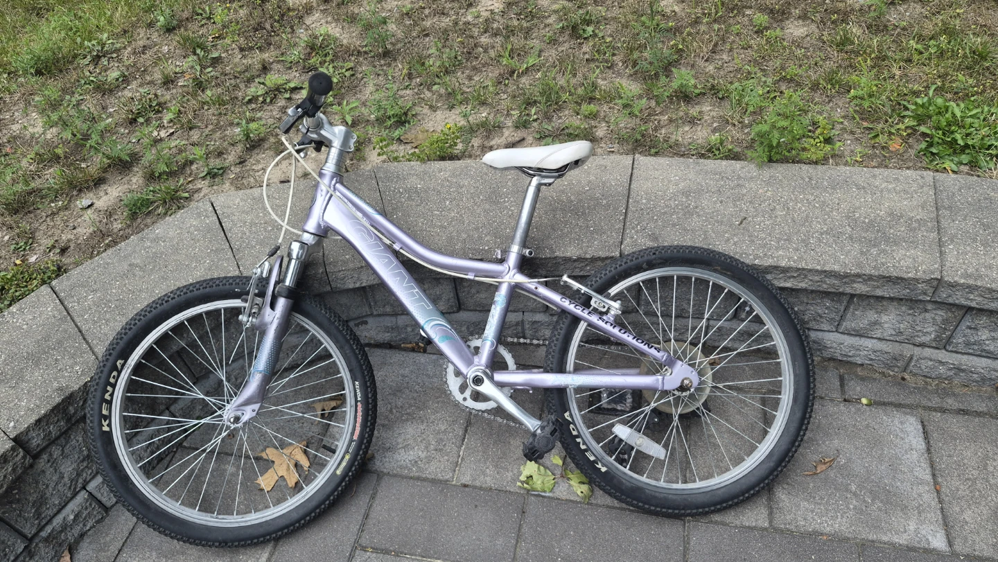 Giant Kids Bike - photo 2