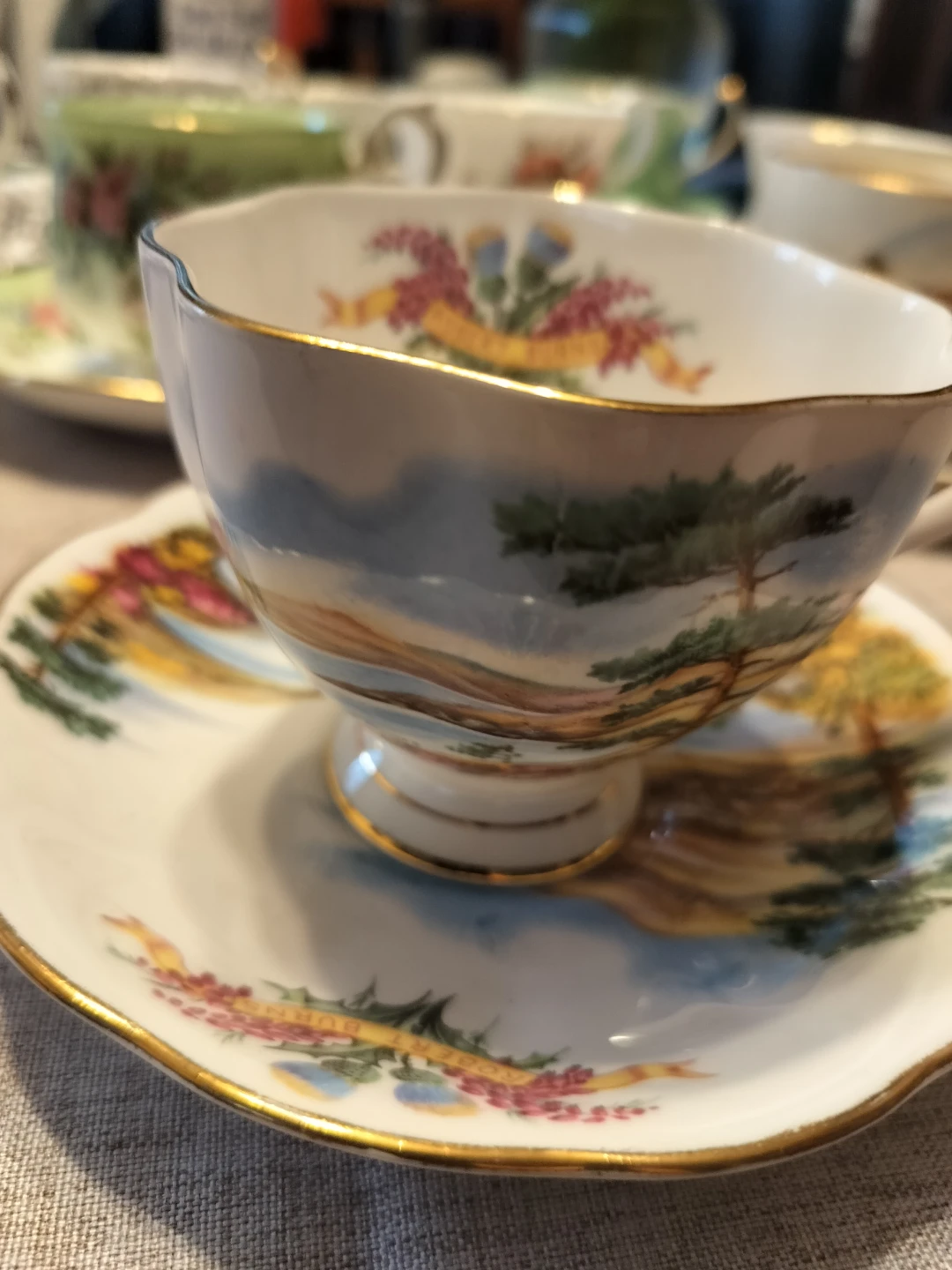 Queen Anne Tea Cup & Saucer - Burns 'Ye Banks and Braes'
