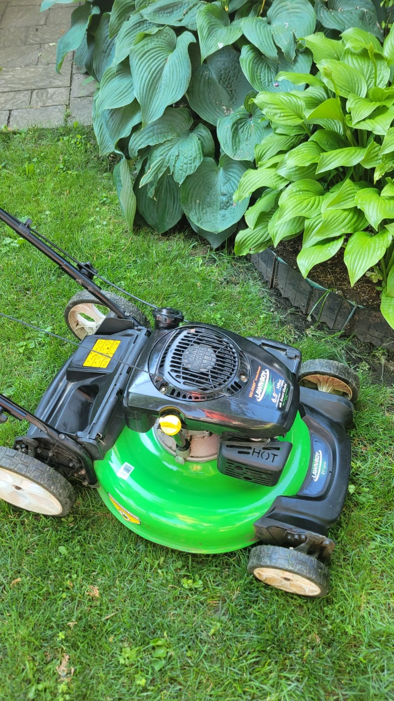 LawnBoy 6.5 HP Self-Propelled Lawnmower