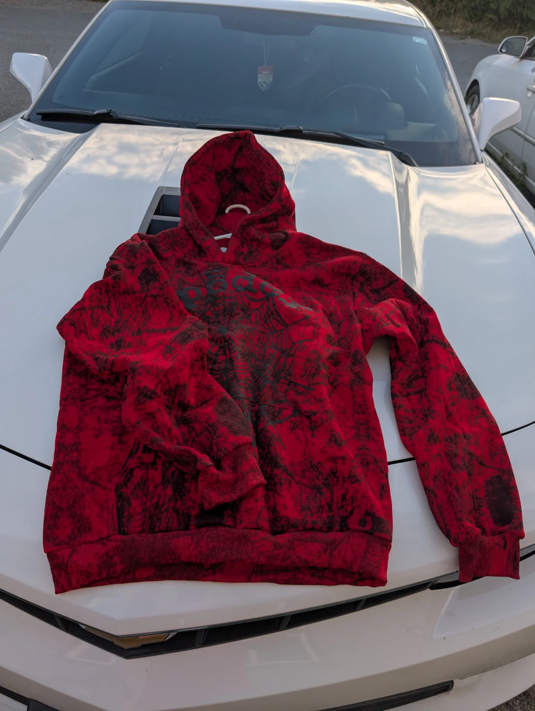 Red Spider Hoodie