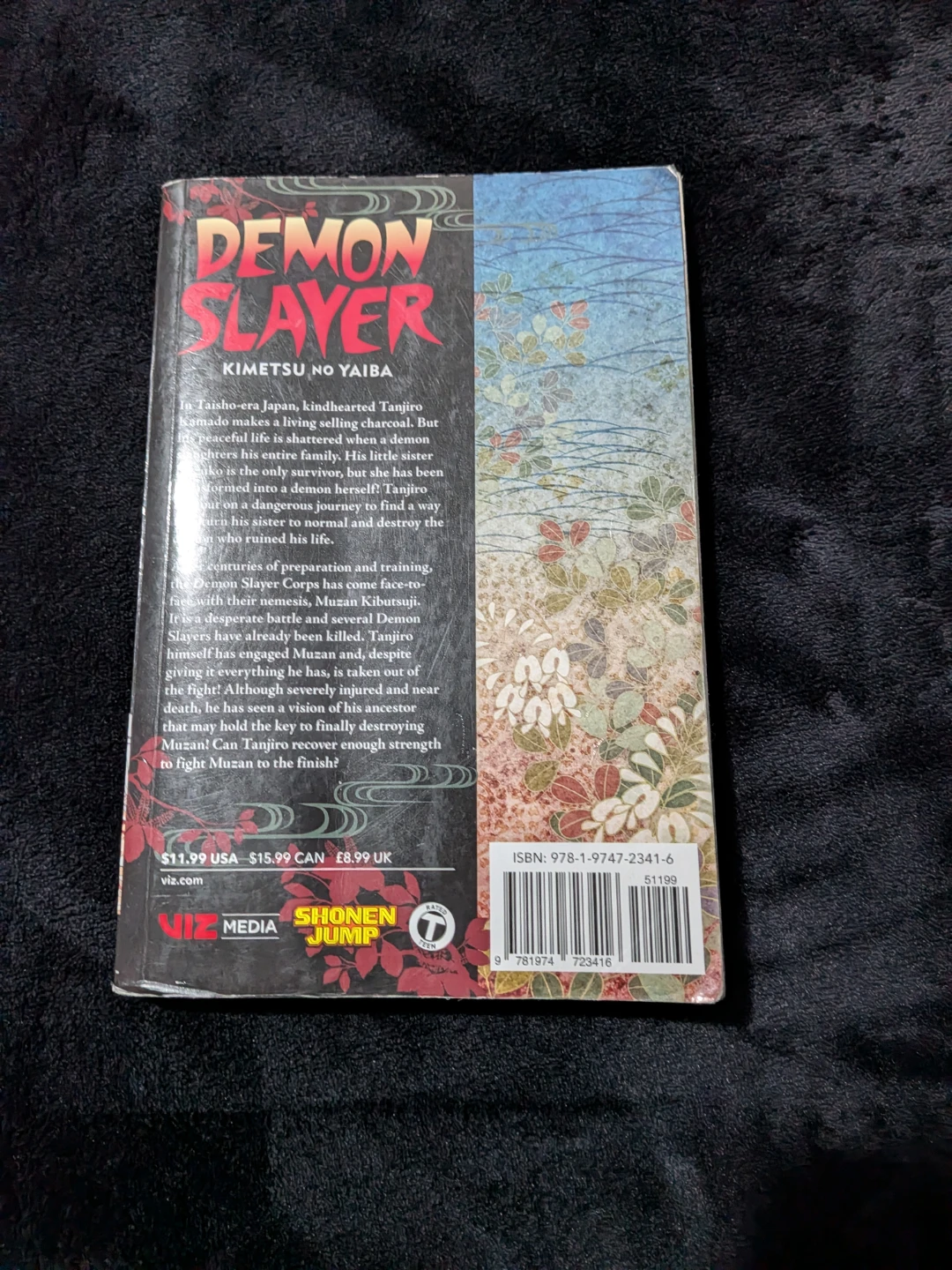 Demon Slayer: Kimetsu no Yaiba Vol. 22 Manga