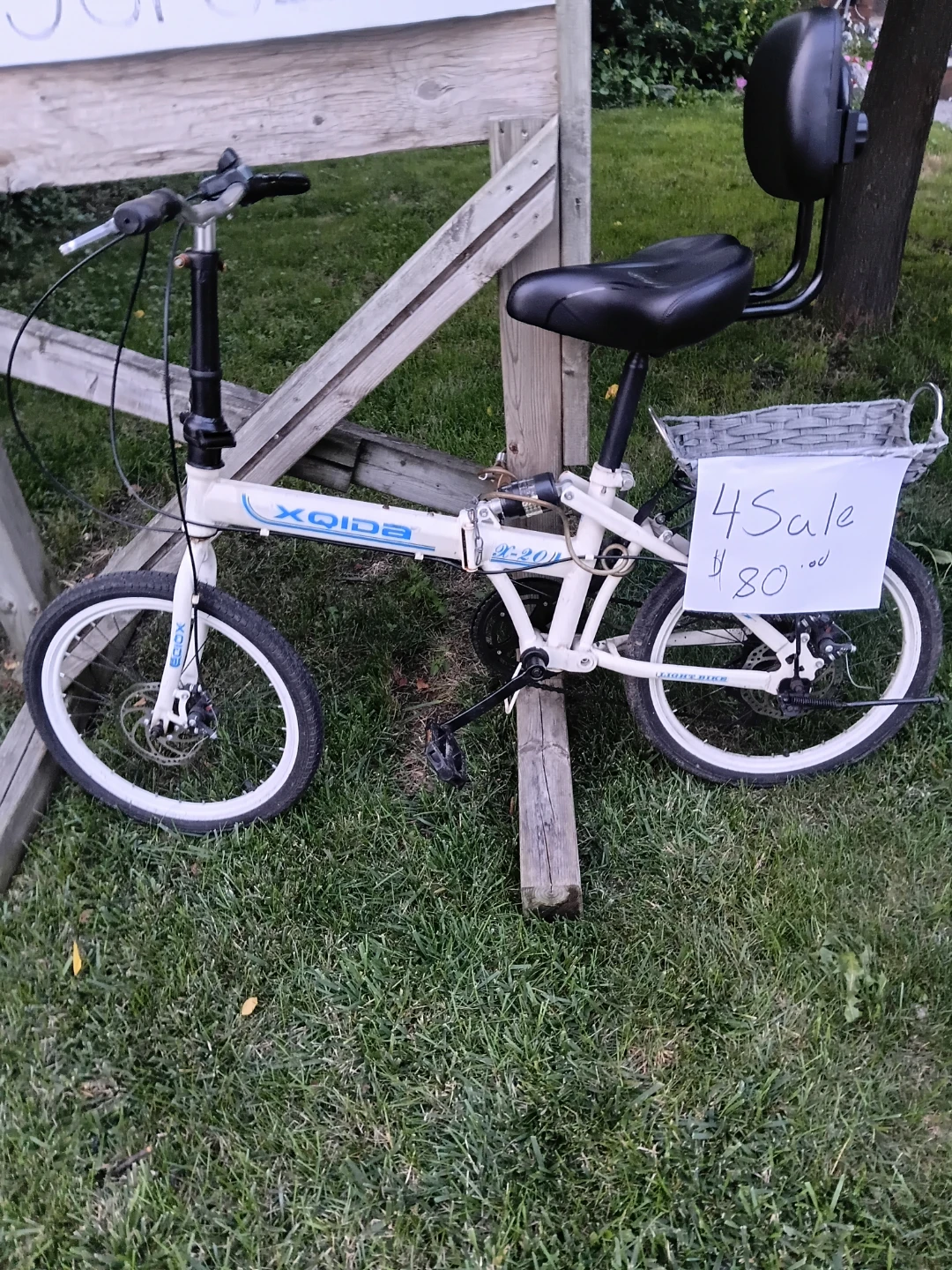 XQIDA Folding Bike