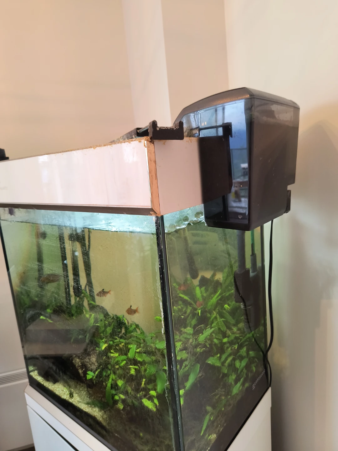 Grant Aquatics Aquarium with Stand