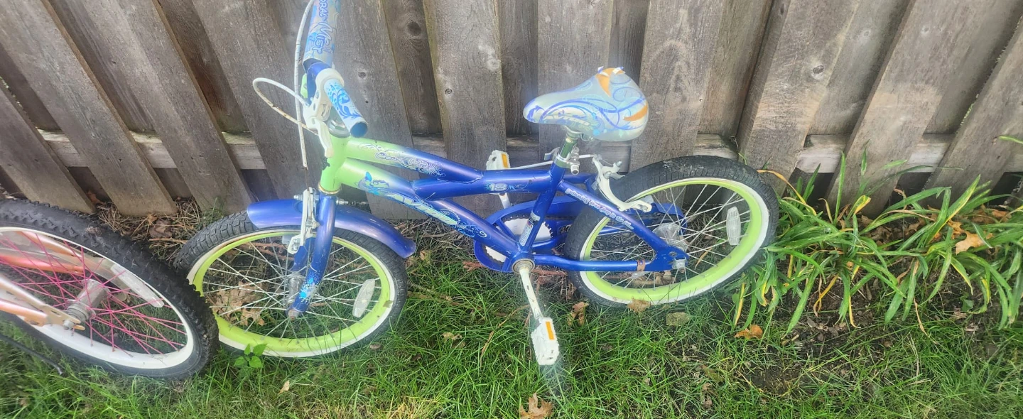 Bikes, Trike, Scooters - photo 5