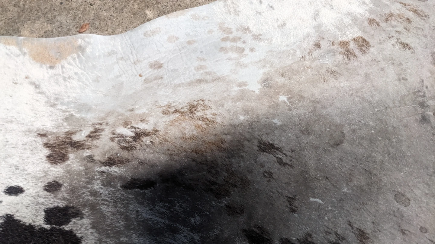Cowhide Rug - photo 4