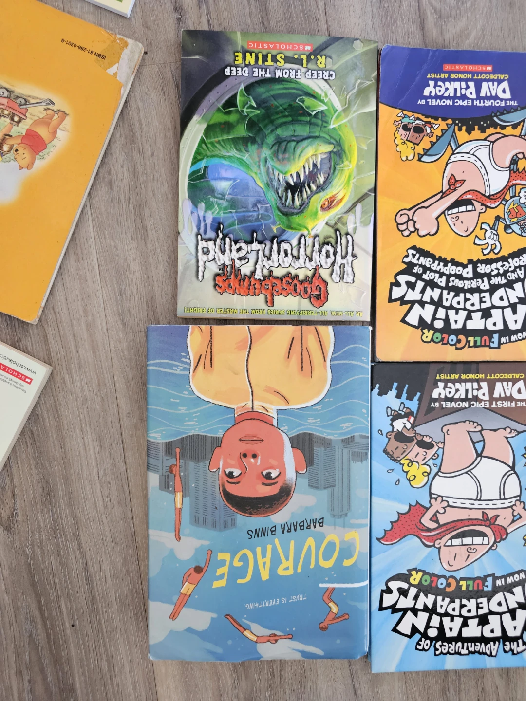 Collection of Dav Pilkey and Scholastic Children's Books - photo 5