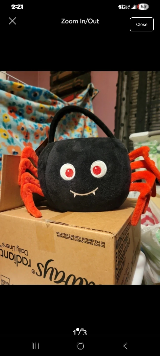 Hide and Eek spider trick or treat pail