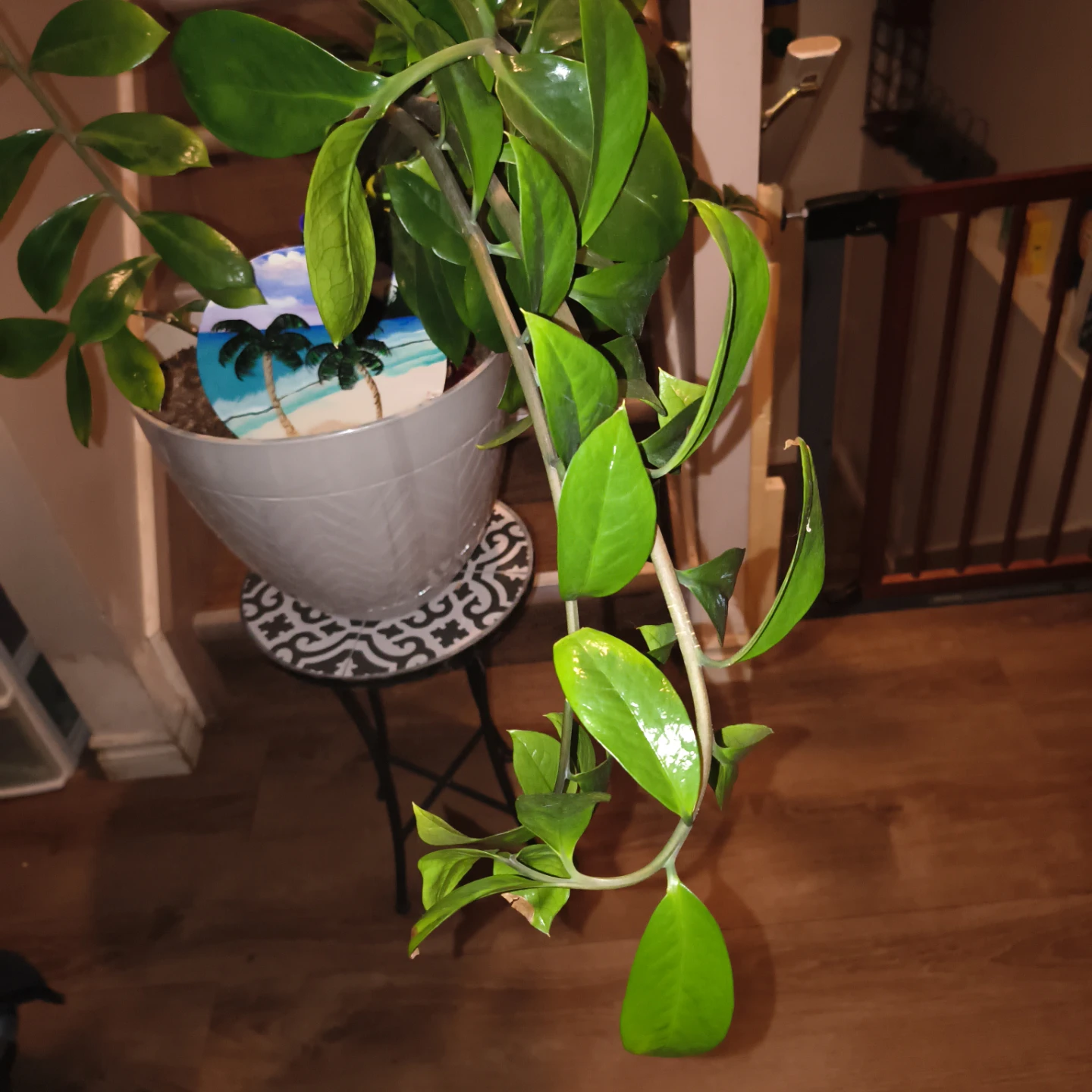 Hand-painted Tropical Scene Decor - photo 2