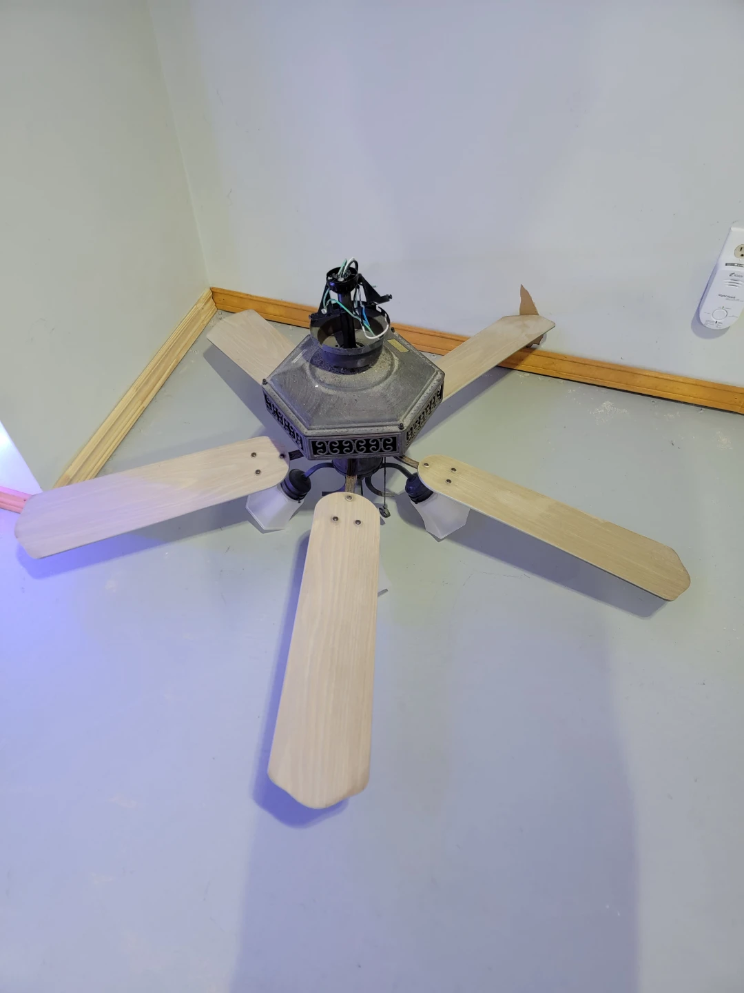 Ceiling Fan with Lights