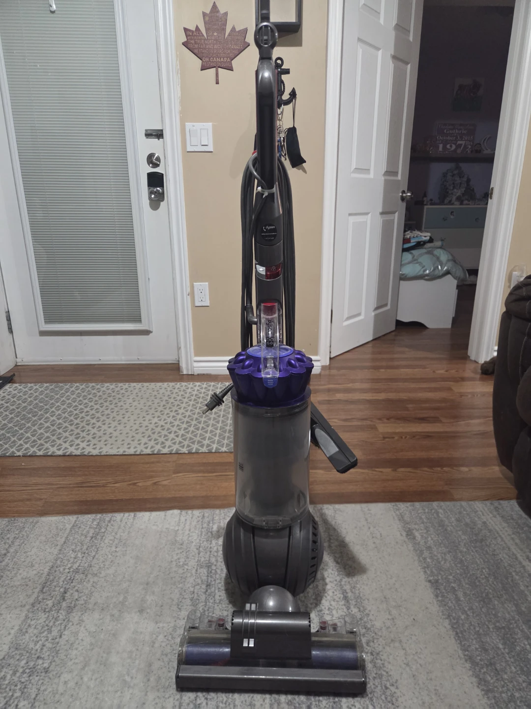 Dyson Ball Animal Upright Vacuum