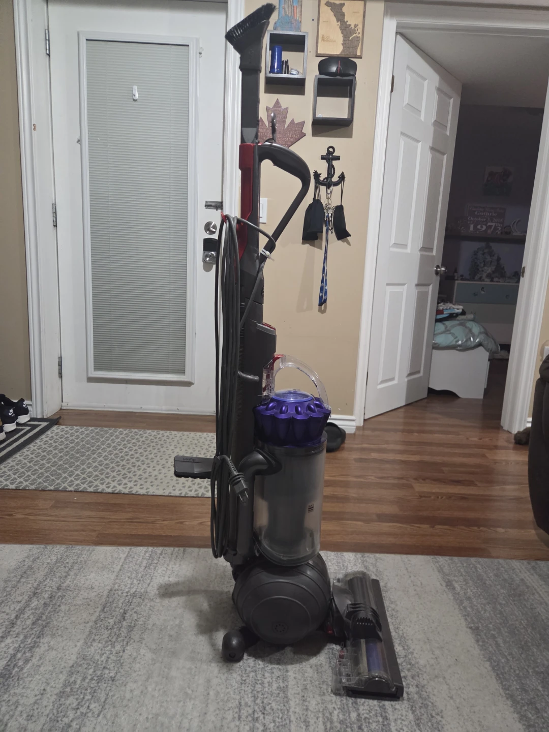 Dyson Ball Animal Upright Vacuum - photo 2