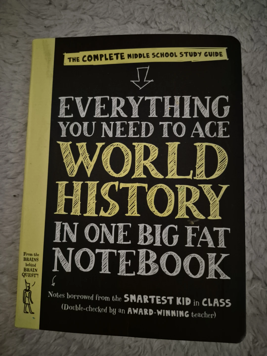 Everything You Need to Ace World History in One Big Fat Notebook