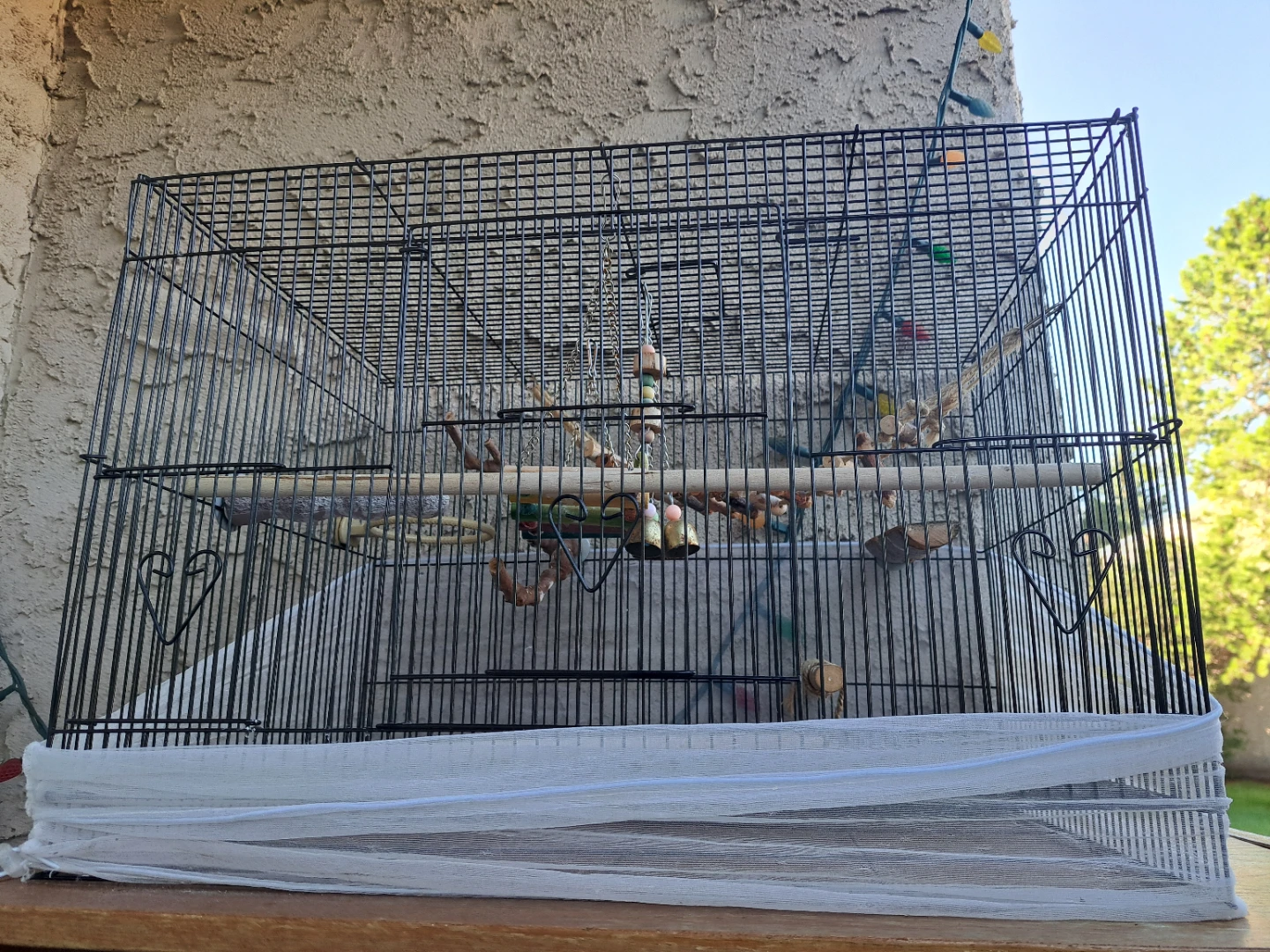 bird cage with perches and toys - photo 2