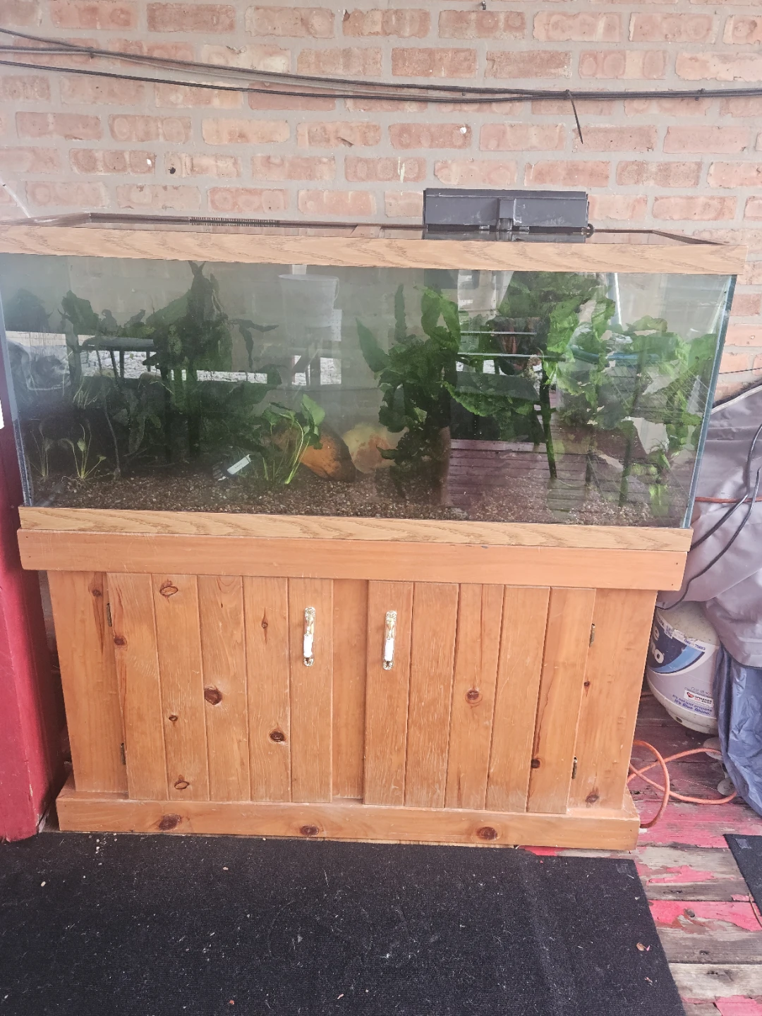 Large Aquarium with Wooden Stand - photo 3