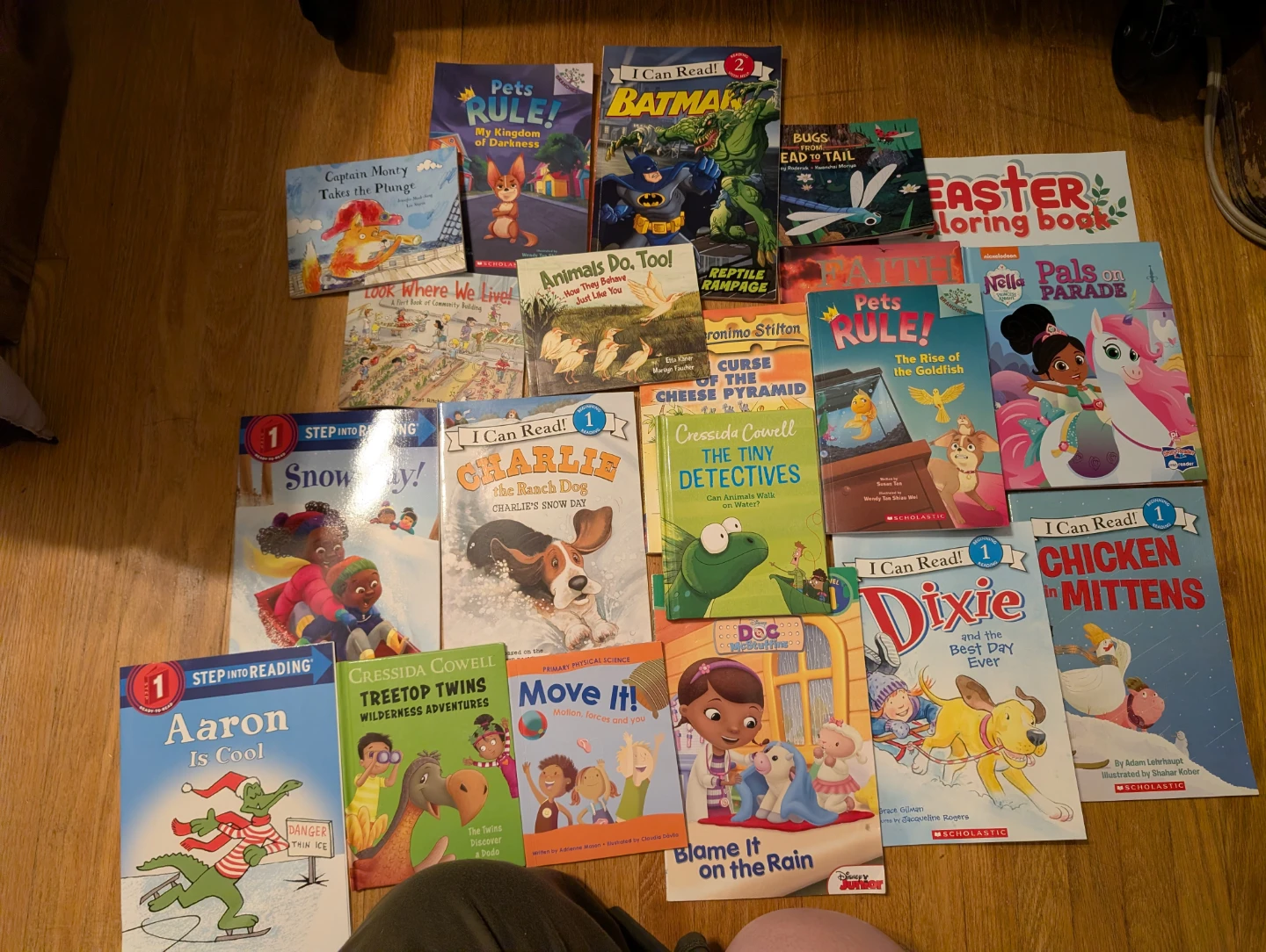 Assorted Children's Books Lot ( 20 books) $10