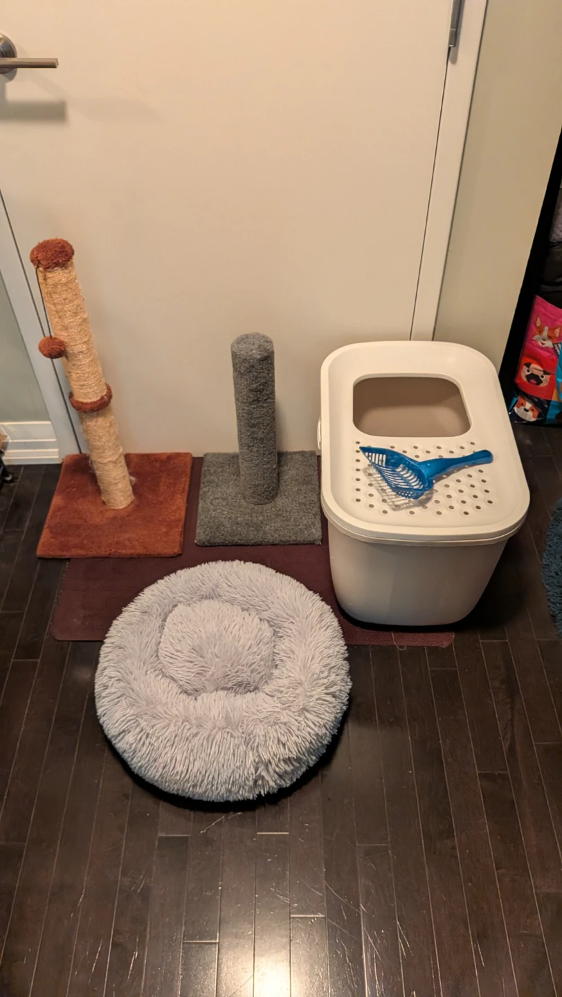 Cat Bundle: Pet’s Choice Top Entry Litter Box, Posts, Fluffy Bed