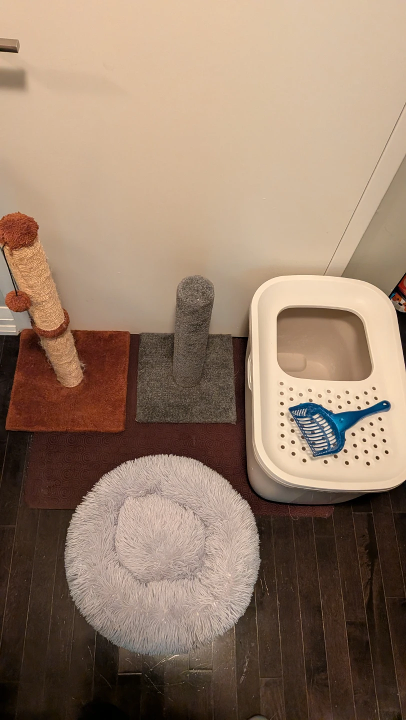 Cat Bundle: Pet’s Choice Top Entry Litter Box, Posts, Fluffy Bed - photo 4