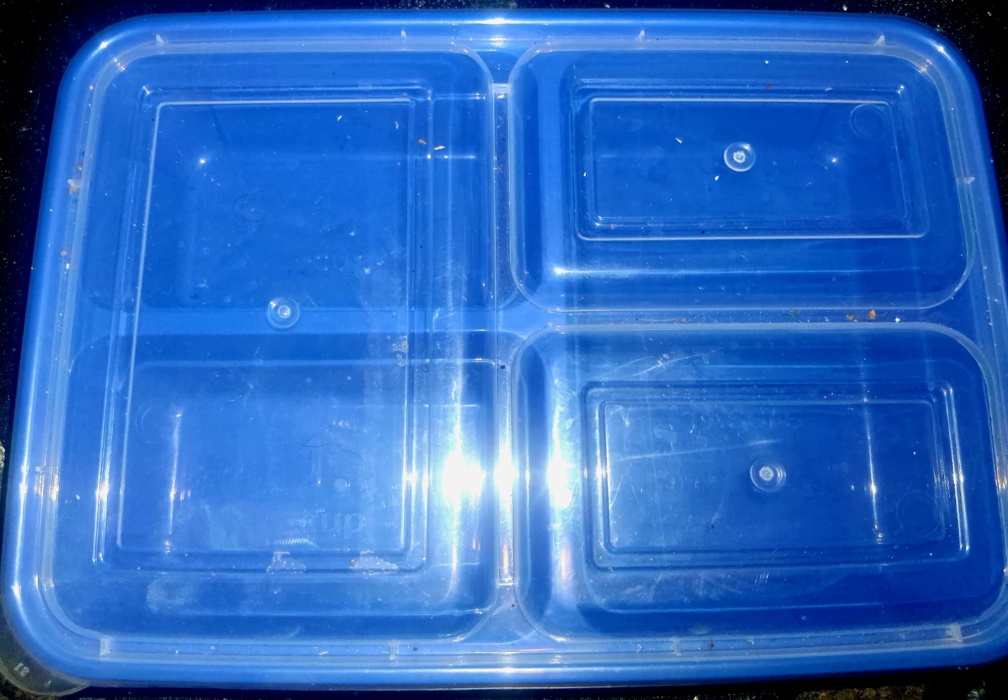 FREE.🥕 Blue Bento Box Container - photo 2