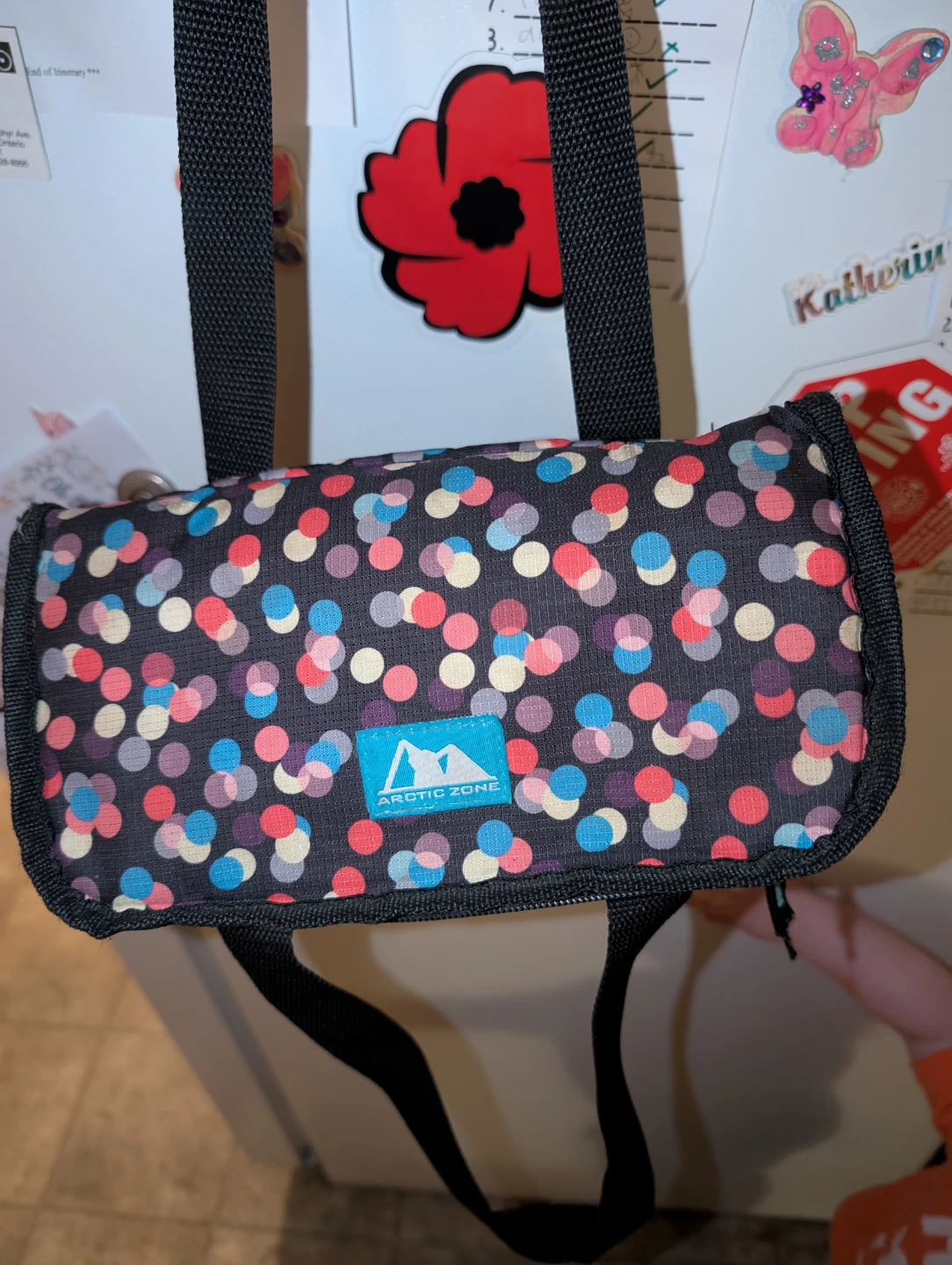 Arctic Zone Insulated Lunch Bag