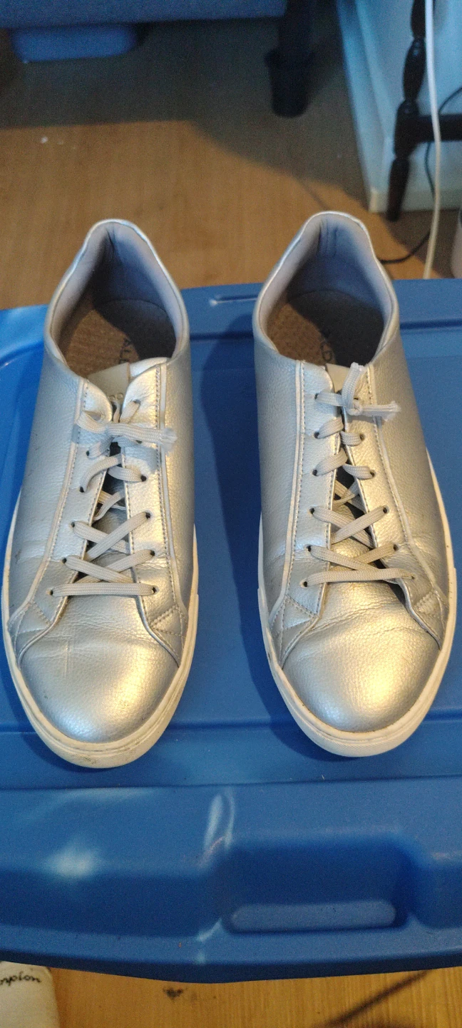 Aldo Silver Sneakers