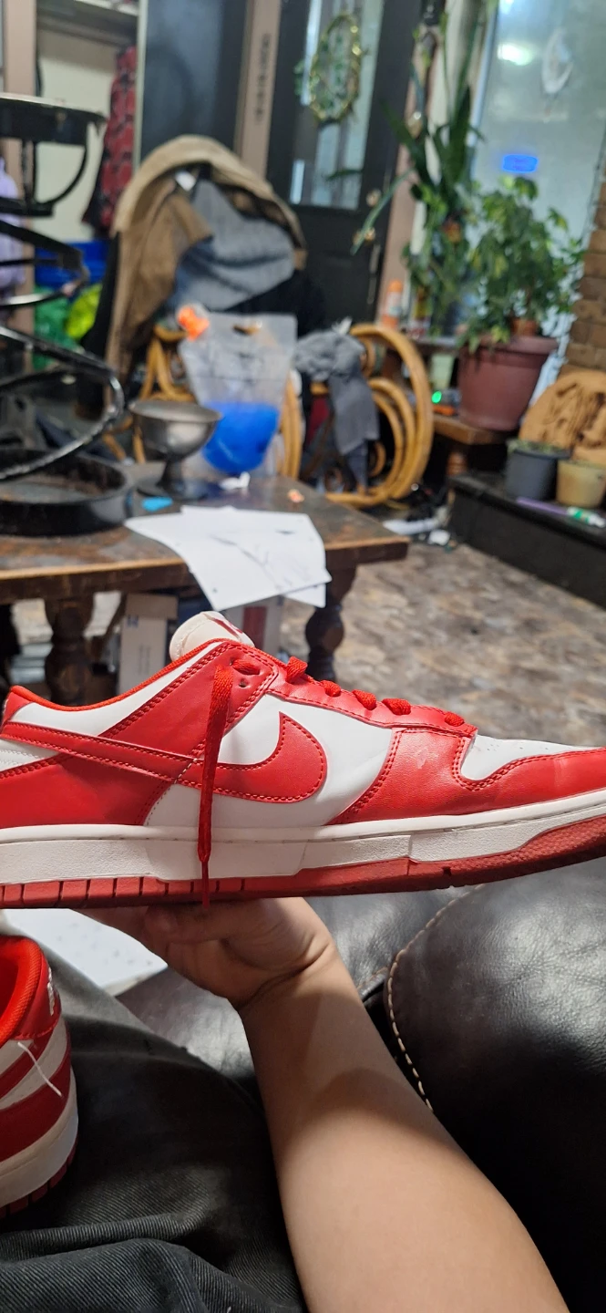 Nike Dunk Low trying to sell to get a sprayground backpack