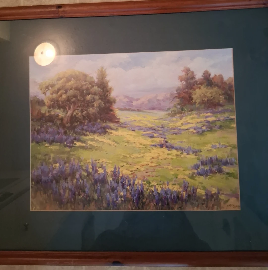 Framed Landscape Painting