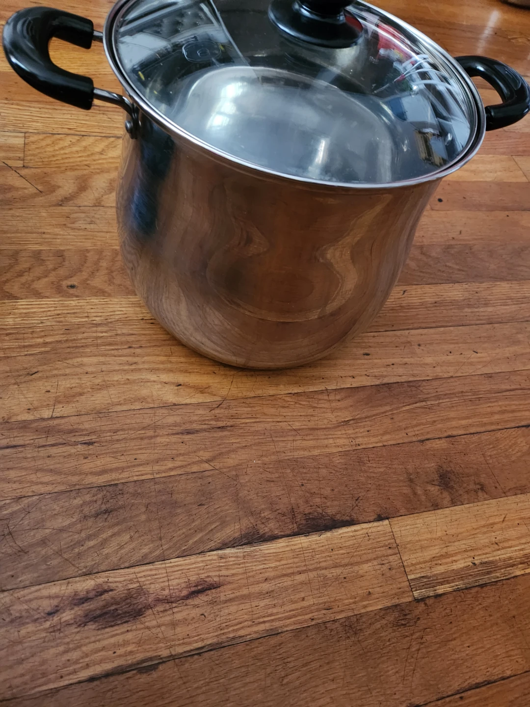 Stainless Steel Stock Pot with Lid