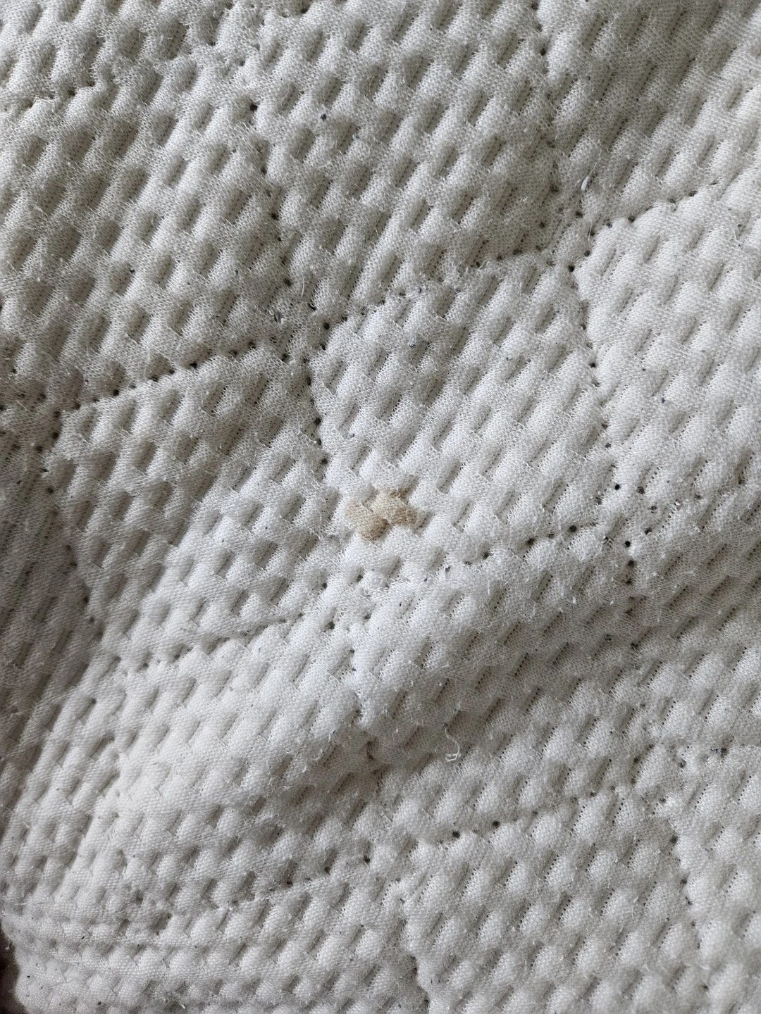 Ilwoul Electric Heat Mat Single - photo 3