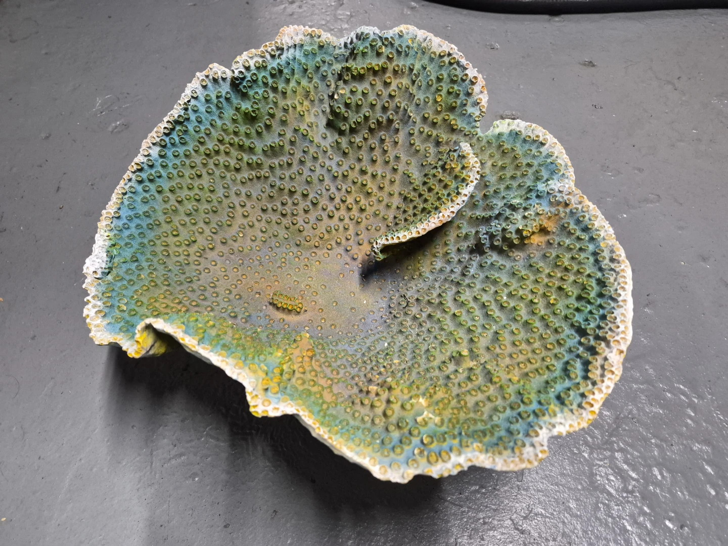 Decorative Coral Piece