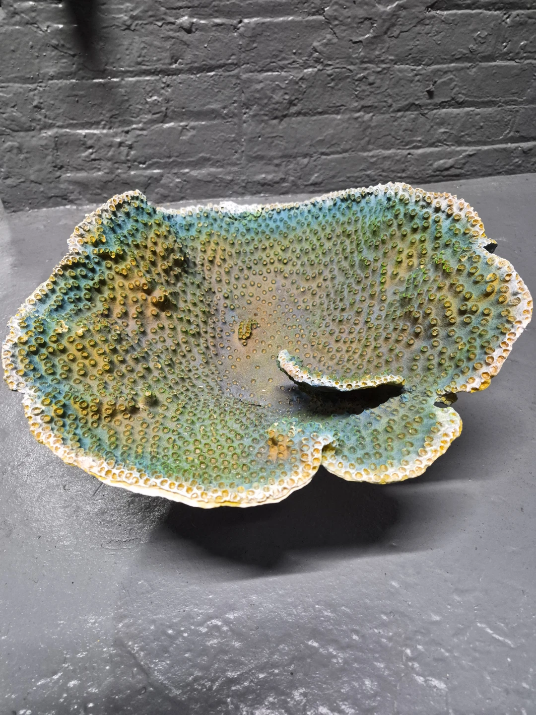 Decorative Coral Piece - photo 2