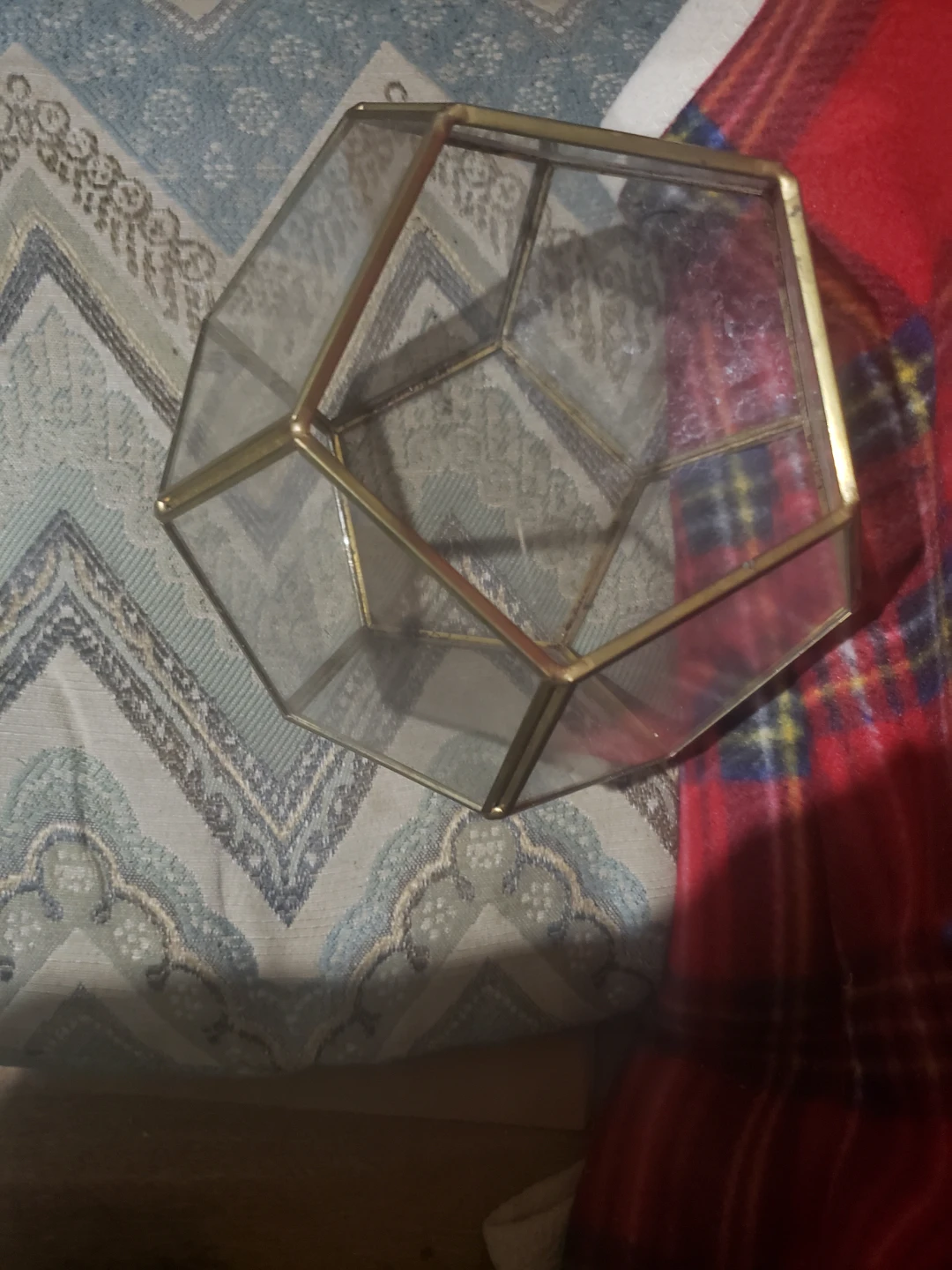 Geometric Terrarium - photo 2