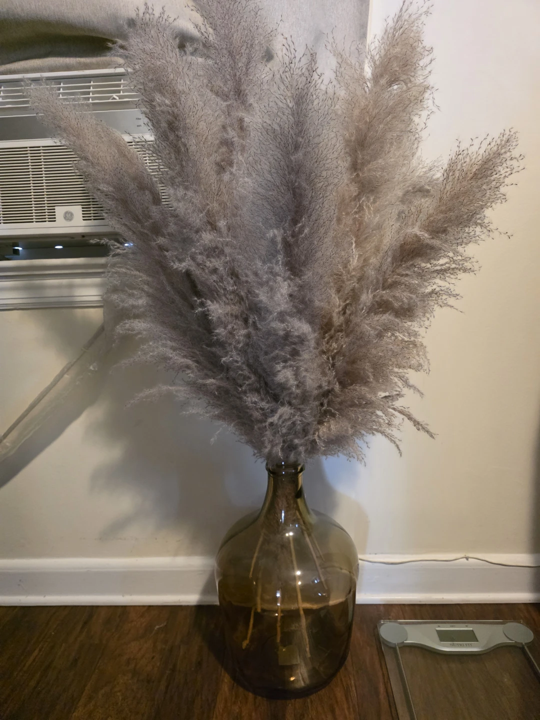 Large Dried Pampas Grass Arrangement in Amber Glass Vase
