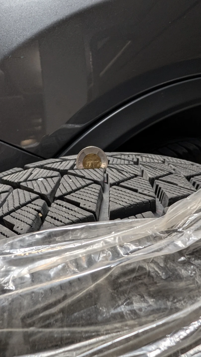 Bridgestone Blizzak DM V2 Winter Tires - Set of 4 - photo 5