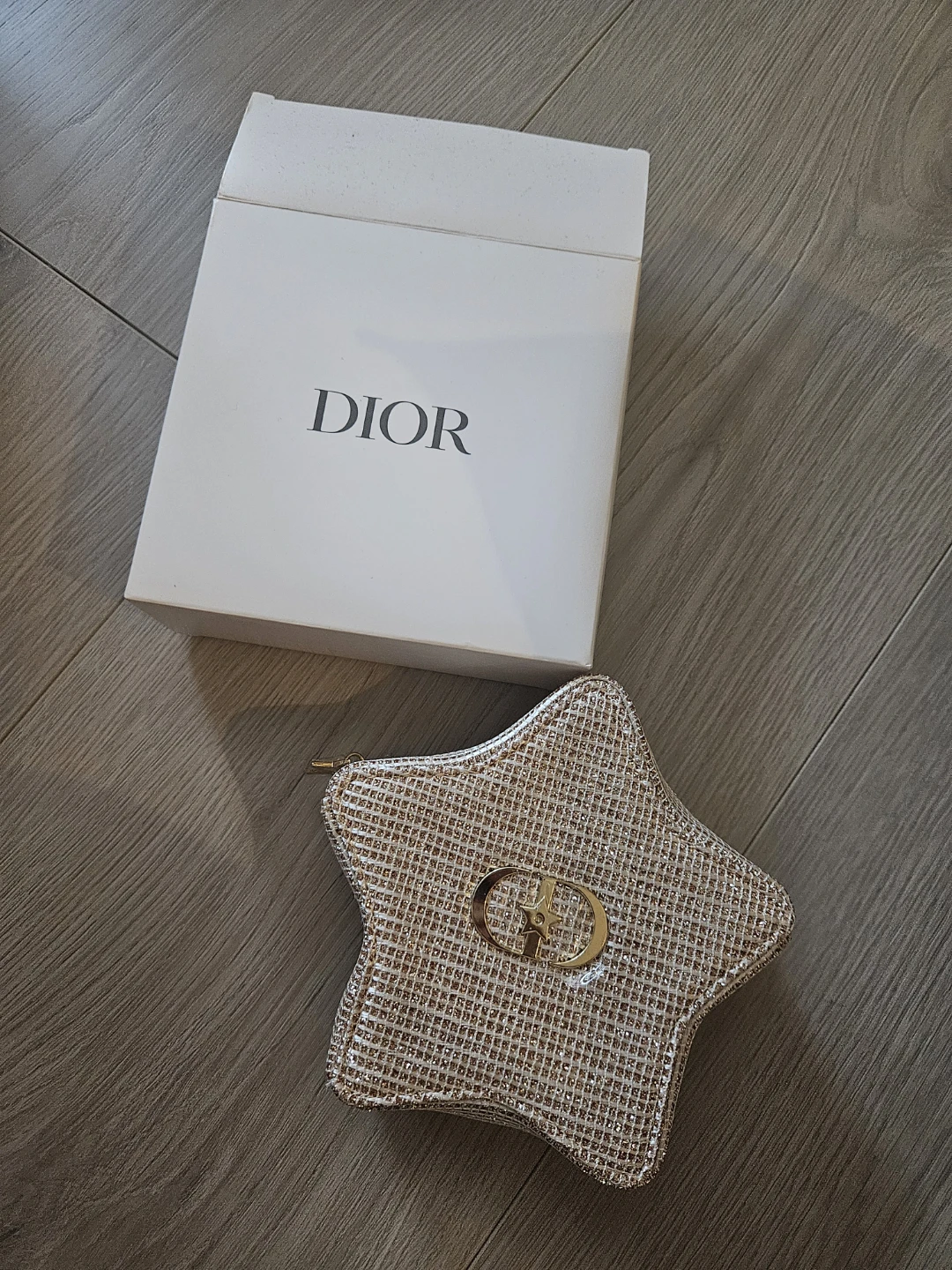Dior Star Pouch