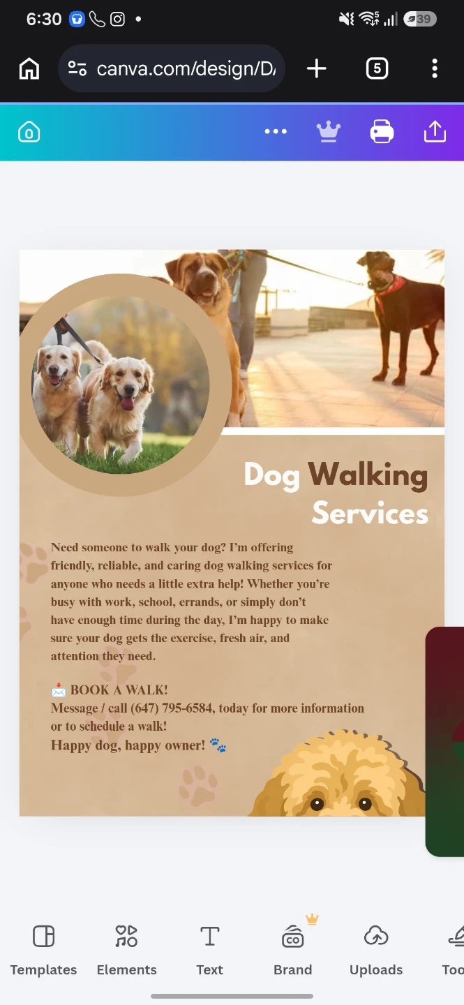 Dog walking services