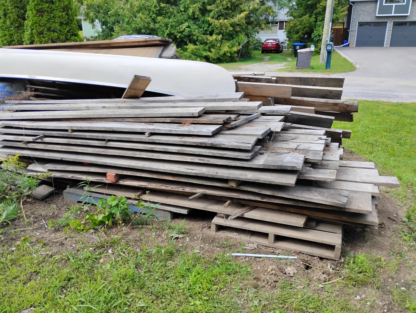 White pine for sale - photo 5