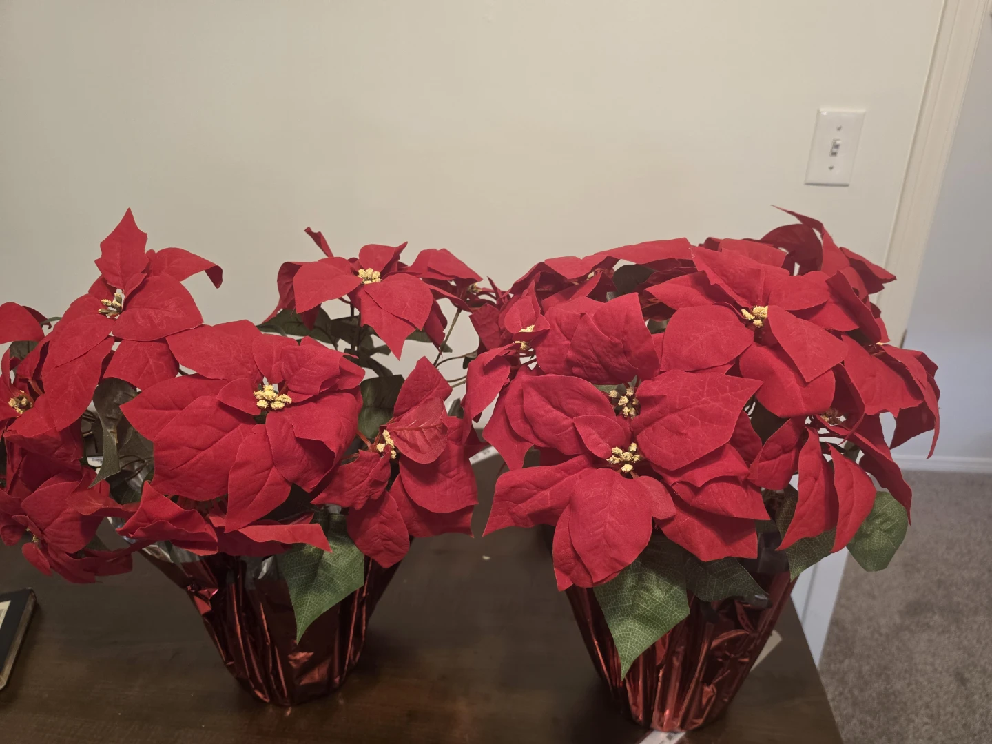 2 Red Poinsettia Plants