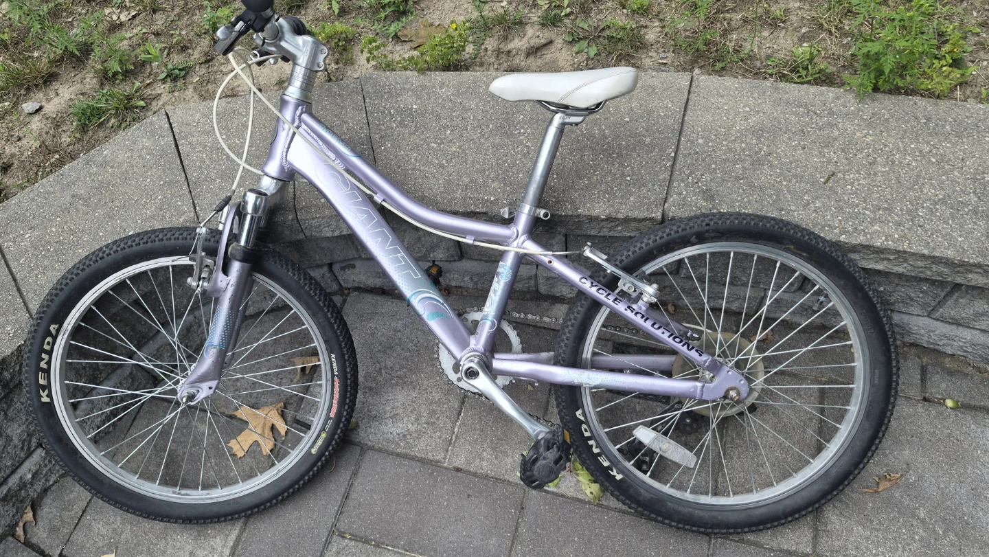 Giant Kids Bike - photo 3