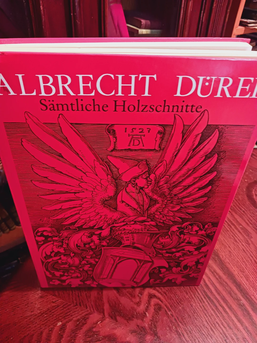 Albrecht Dürer Sämtliche Holzchnitte Art  Book
