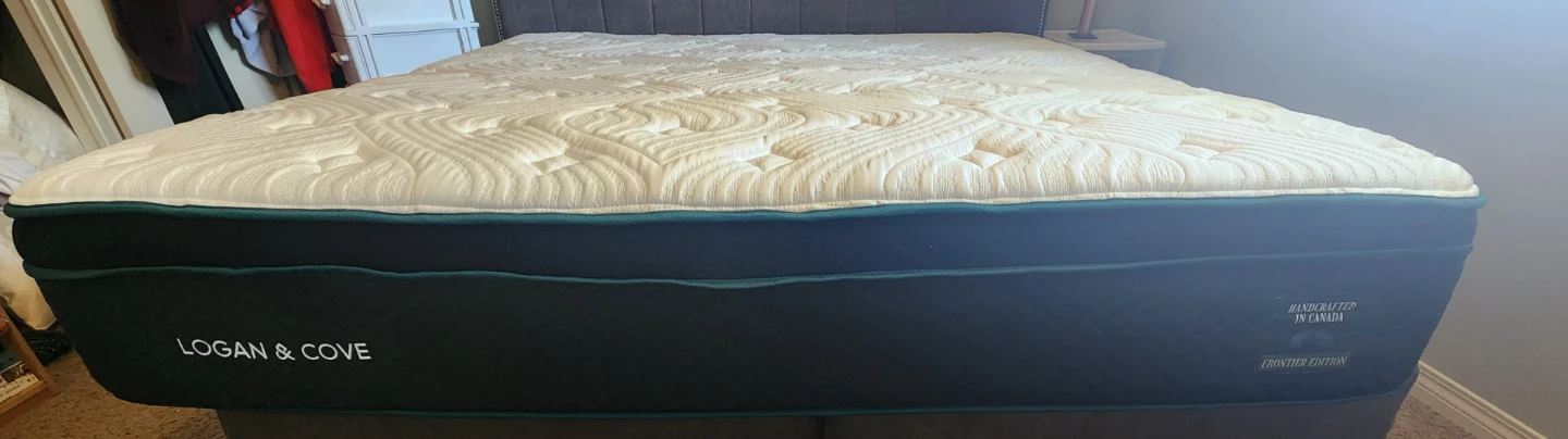 LOGAN AND COVE LIMITED EDITION PILLOW TOP KING MATTRESS
