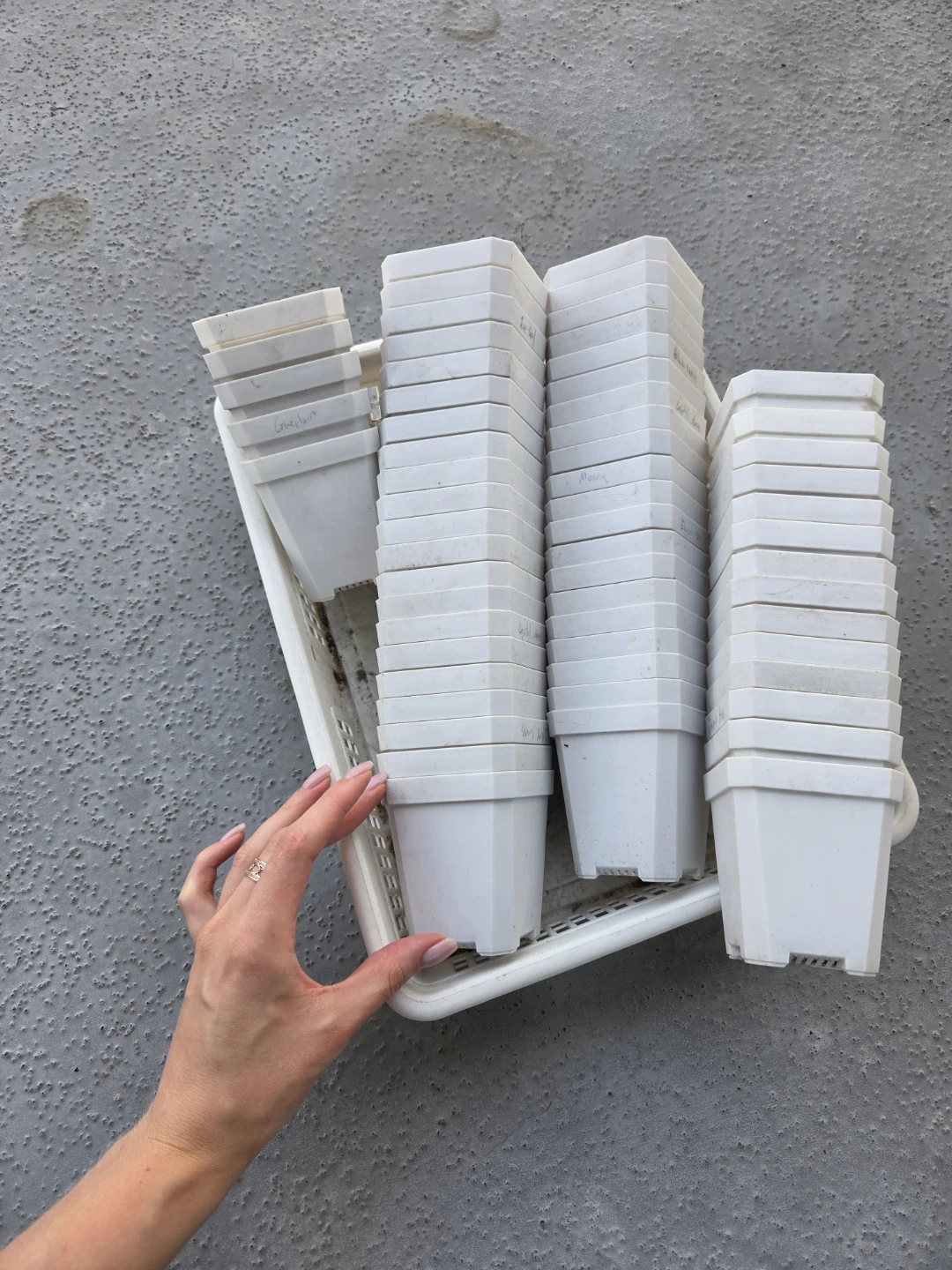 White Plastic Plant Pots (Set of 30) - photo 2